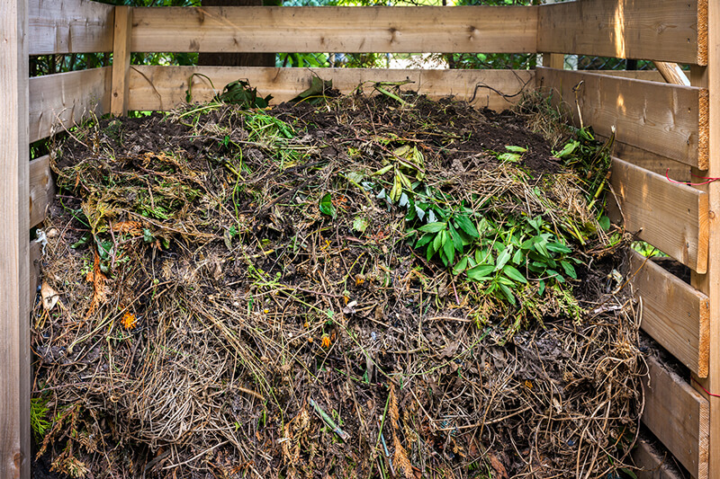 how to dispose of yard waste